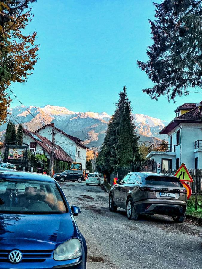 Transylvania Mountain View Cdi Bran  Extérieur photo